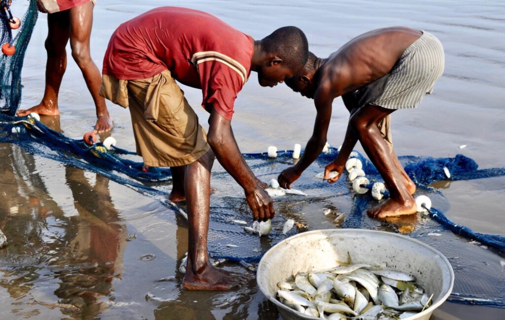 The Future of Sustainable Fisheries in Nigeria 1 - The Future of Sustainable Fisheries in Nigeria - Blog - The Nigerian Marine Environment Protection Association (NIMEPA)