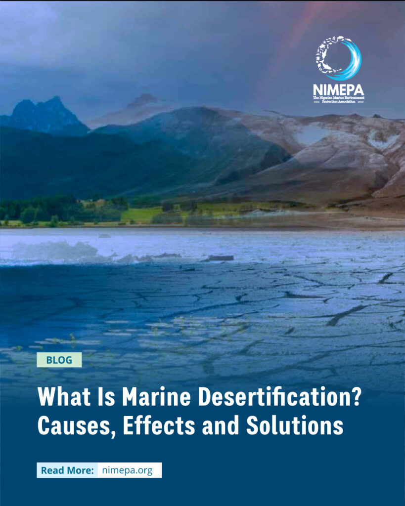 What Is Marine Desertification Causes, Effects and Solutions