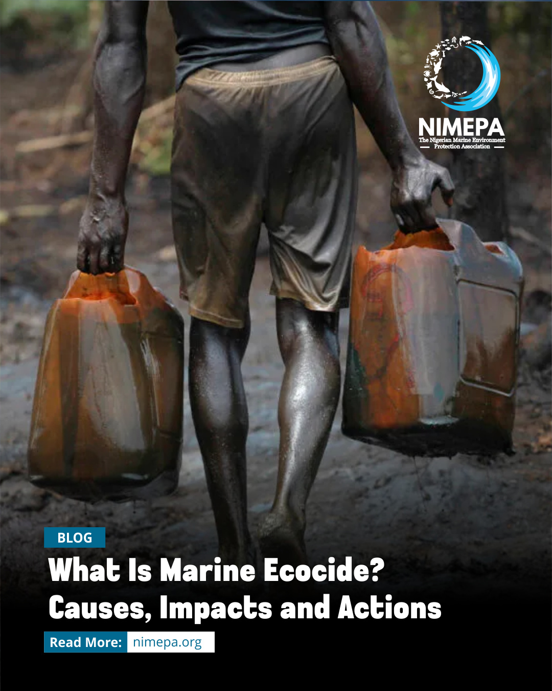 What Is Marine Ecocide Causes, Impacts and Actions
