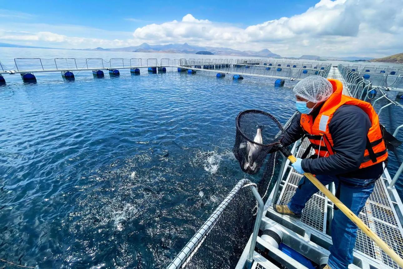 What Is Marine Farming 7 Ways to Make It Sustainable 1 What Is Marine Farming 7 Ways to Make It Sustainable 1